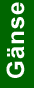 Gnse