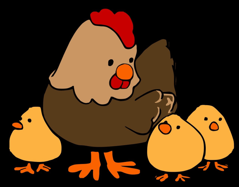 Rund ums Huhn bei Gieseker
